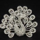 Bridal crystal Peacock Rhinestone Brooch pin PI114