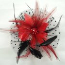 Bridal Feather Black silk flower Peacock pin clip BA141