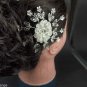 2 pcs Bridal Rhinestone Prom Headpiece Flower Crystal Hair tiara Comb RB583