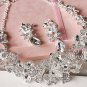 Bridal dragonfly elegant Rhinestone Crystal Hair necklace earring set NR450