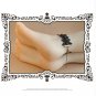 Gothic sexy Lolita Lace Black bow Choker necklace bracelet anklet set BR365