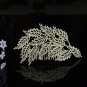 Bridal Rhinestone Crystal prom dance Leave headpiece Headwear Hair Comb RB678