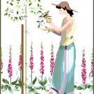 Seasons - Summer in the garden
