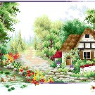 Seasons - Summer