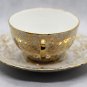 Antique Hlottenhof Bavaria Germany Porcelain Bone China Cup and Saucer 1928