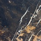 Marble Tile 12x12 Michael Angelo Polished