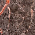 Marble Tile 12x12 Mystique Brown Polished
