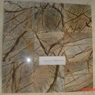 Marble Tile 12x12 Rain Forest Brown Polished