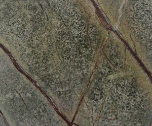 Marble Tile 12x12 Rain Forest Green Polished