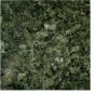 Granite Tile 18x18  Verde Butterfly Polished