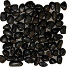 Pebbles 12x12 POLISHED - BLACK QUARTZITE