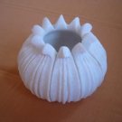 P045-LOTUS BUD POT (6x4.5)