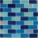 Mosaics 1X2 GLASS IRRIDESCENT BLUE BLEND (CrystalizedBlend) 12x12