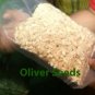 Oil Press Machine - 1500W Electric Olive Seed Kernel Oil Extractor (8-15 lb. / hr)