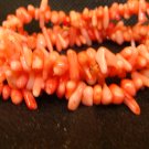 Coral Bracelet