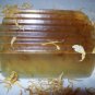 Handmade Soap~with Calendula Flowers~LAVENDER BERGAMOT~
