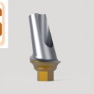 Dental Five Angular Aesthetic Abutments  1mm Curve Concave Minor 15° Tin T