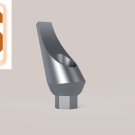Dental Five Angular Aesthetic Abutments  9mm Smooth Minor Leaf Minor 25° Tin