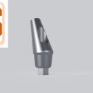 Dental Five Angular Aesthetic Abutments  11mm Smooth Minor  25° Smooth Shape