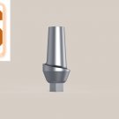 Dental Five Straight  Aesthetic Abutments 2mm Shoulder Internal Hex
