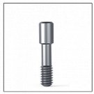 Dental Ten Titanium Screws For Abutments Compatible MIS,ADIN, Alpha BIO,AB DENT Dental Ten Titanium Screws For Abutments Compatible MIS,ADIN, Alpha BIO,AB DENT