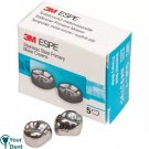 Dental 3M Stainless Steel Primary Molar Crowns D Upper All Sizes 5 pcs Dental 3M Stainless Steel Primary Molar Crowns D Upper All Sizes 5 pcs
