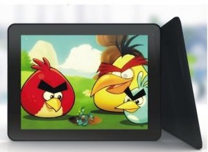 Ployer Momo8 Bird Tablet PC - 8 Inch Android 4.0.3  Capacitive 5 Point Touch Screen, 8GB storage