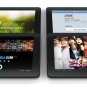 Ployer Momo8 Bird Tablet PC - 8 Inch Android 4.0.3 Capacitive 5 Point Touch Screen, 8GB storage