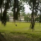 Natural Picture Album[01]