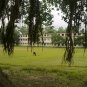 Natural Picture Album[01]