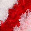 Assorted Feather Boa