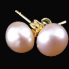Freshwater stud earrings-Pink-14k yellow gold plated