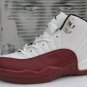 Nike Air Jordan 12