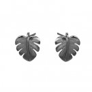 Monstera White Gold Earrings 14mm