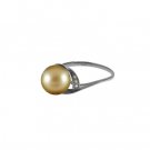 Golden South Sea Pearl Ring in White Gold