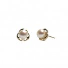 White Freshwater Leaf Earrings