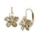 Denny Wong Plumeria Leverback Earrings 8mm