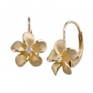 Denny Wong Plumeria Leverback Earrings 11mm
