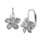 Denny Wong Plumeria Leverback Earrings White Gold 6mm