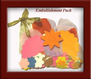 Punch Pack Embellishment Kit