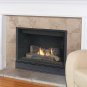 TRIBUTE 36" Clean Face Gas Fireplace by Monessen Majestic