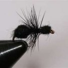 Black Ant Size 12