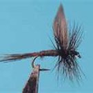 Black Gnat Size 20