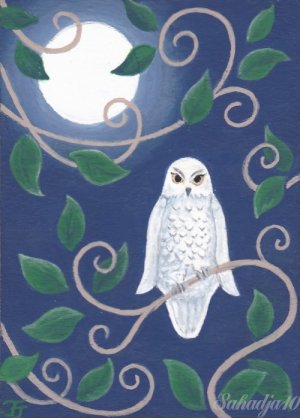 Night Owl ACEO Canvas Giclee Print Fantasy By Tj Sahadja10
