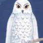 Night Owl ACEO Satin Giclee Print Fantasy By Tj Sahadja10