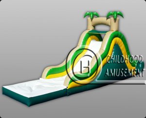 inflatable water slide