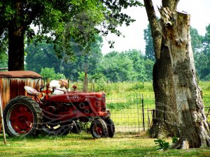 Big Red Tractor