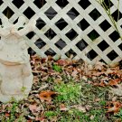 Pensive Froggy