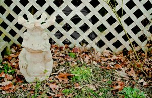 Pensive Froggy