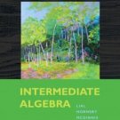 Intermediate Algebra Ninth Edition